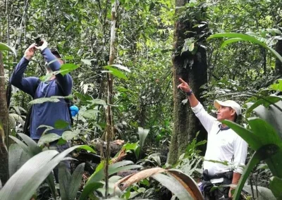 Observing trees and plants during a hike in the Amazon