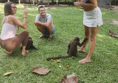 Travelers playing with monkeys in the Amazon